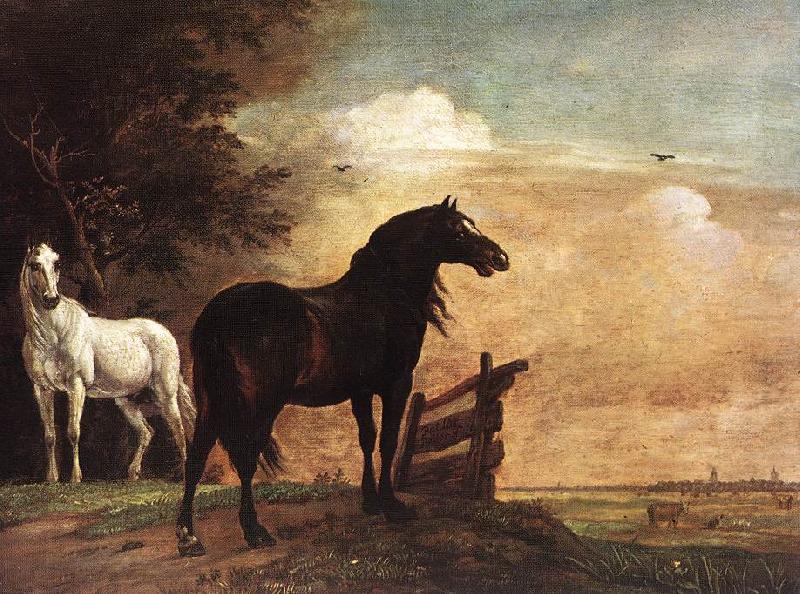 POTTER, Paulus Horses in a Field zg china oil painting image